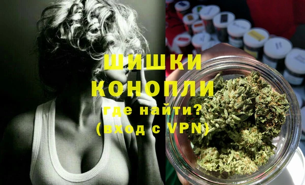 соль ск Осинники