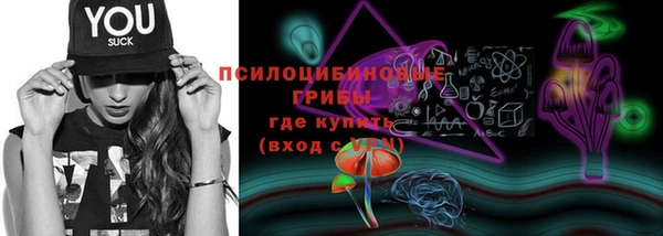 ешки Пестово