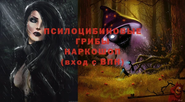 соль ск Осинники