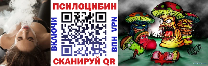 Псилоцибиновые грибы Psilocybine cubensis  Карпинск 