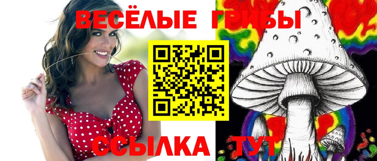 Псилоцибиновые грибы Psilocybine cubensis Карпинск