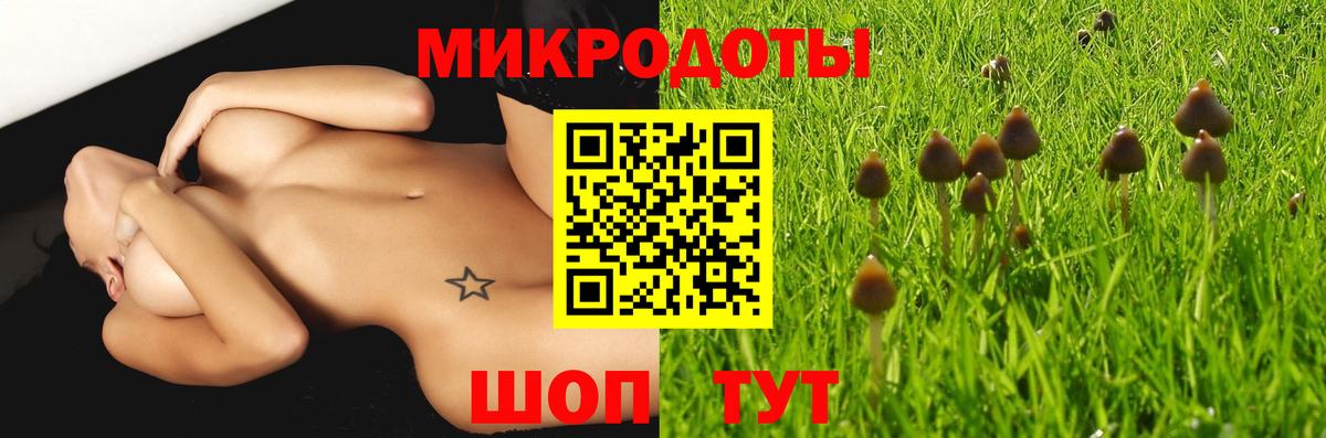 Карпинск  Псилоцибиновые грибы Cubensis  Вход с VPN 